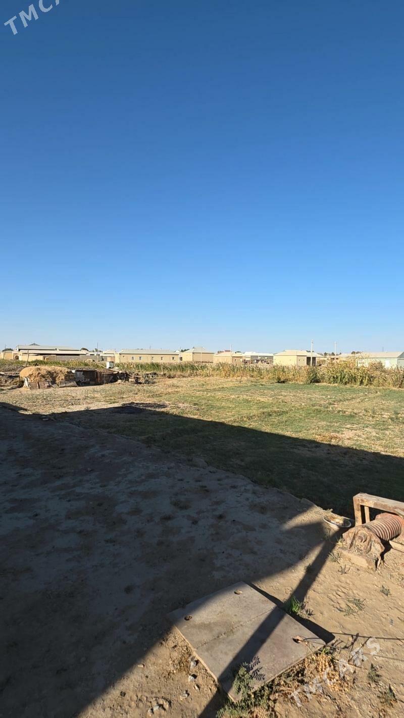 Peşanaly Mykky lorsy - Мары - img 2