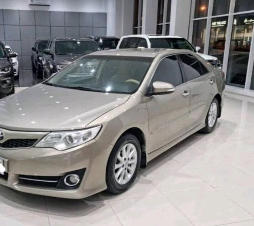 Palta fara gapak kryşga 40 TMT - Mary - img 1