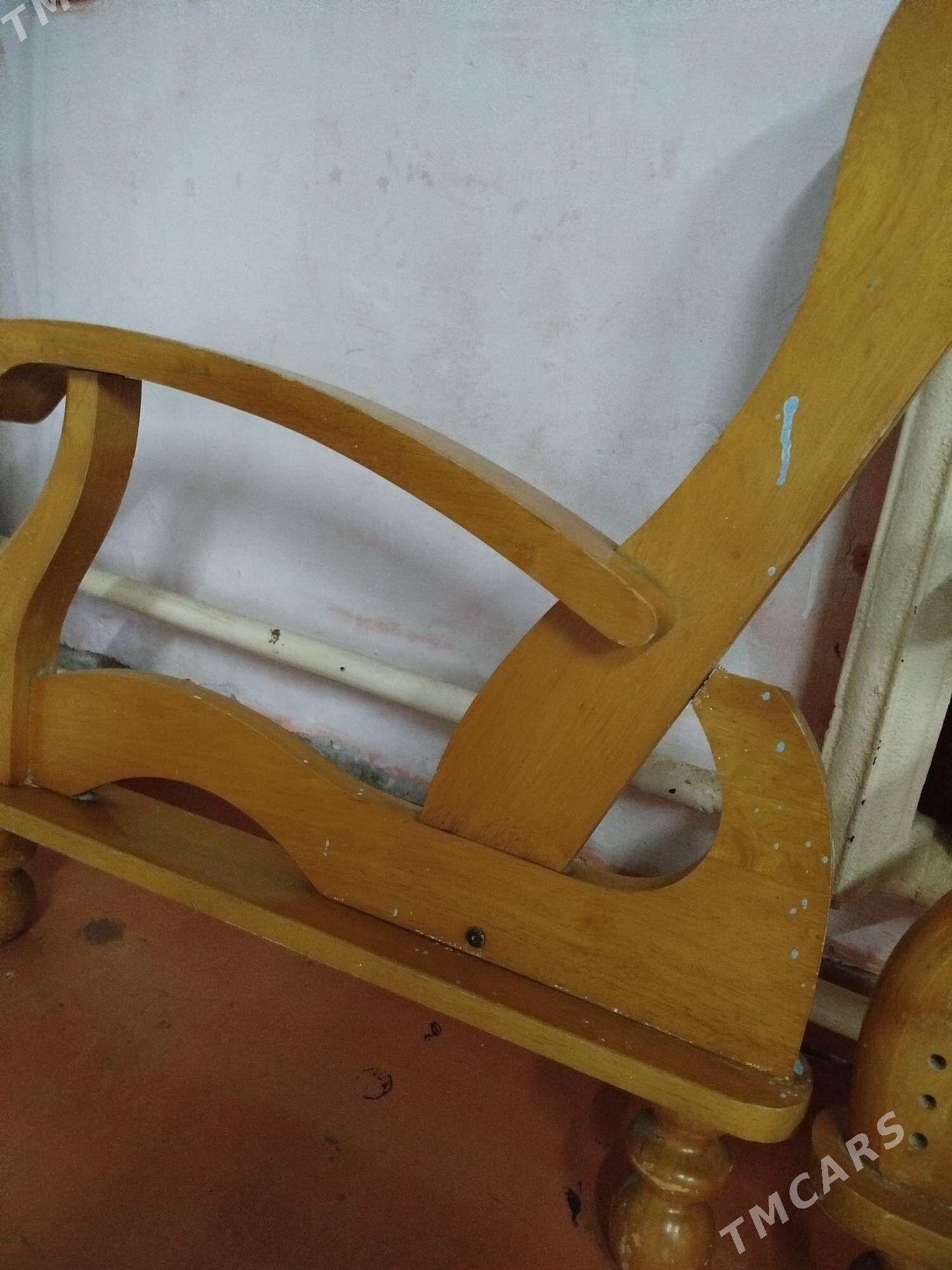 diwan agaç.  диван дерево. - Kim raýon - img 3