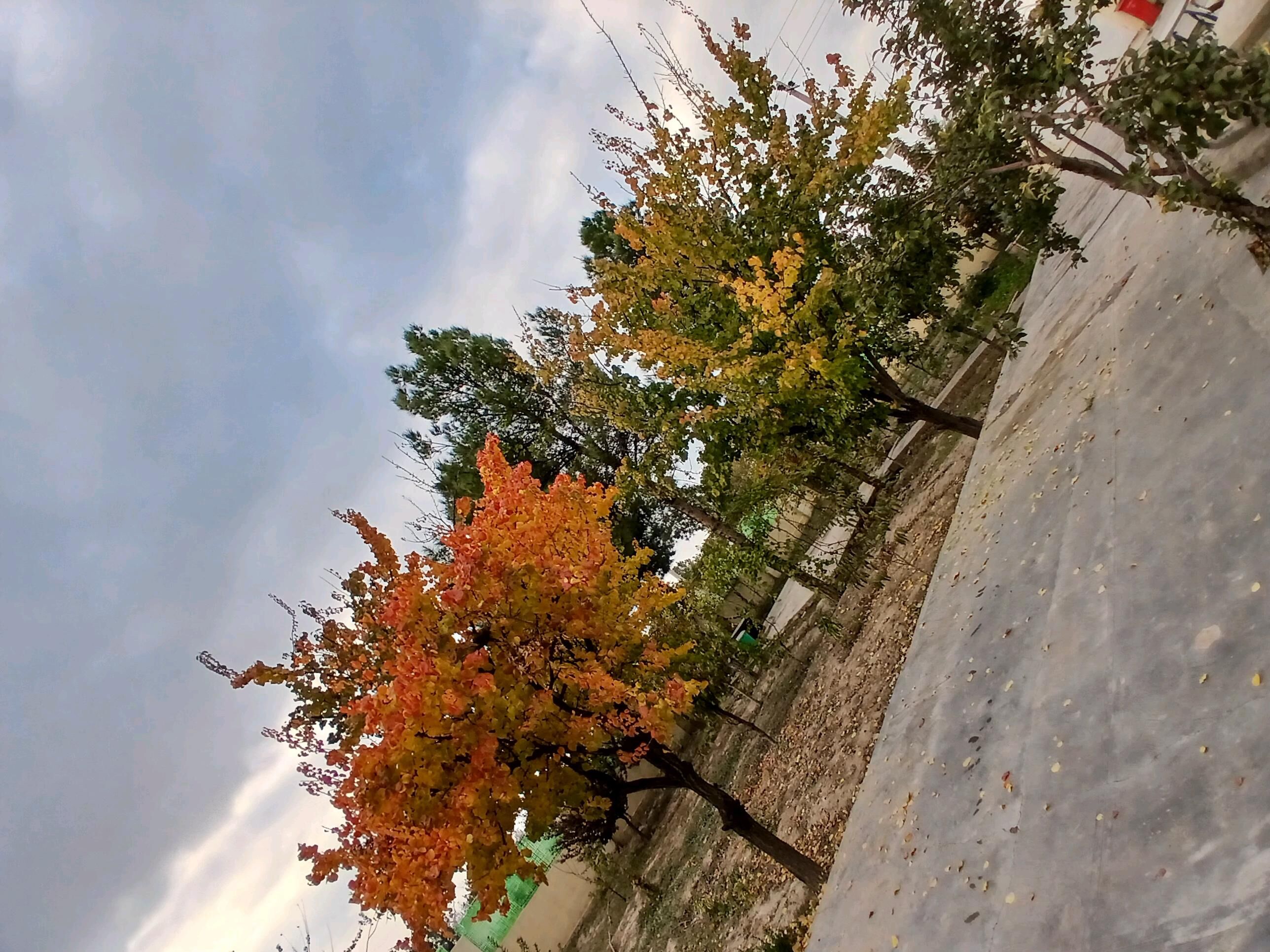 EÝESINDEN  5 комн. 230 м² - Bekrewe - img 10