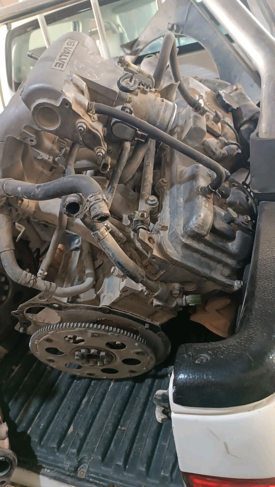 матор mator 8 TMT - Sakarçäge - img 4