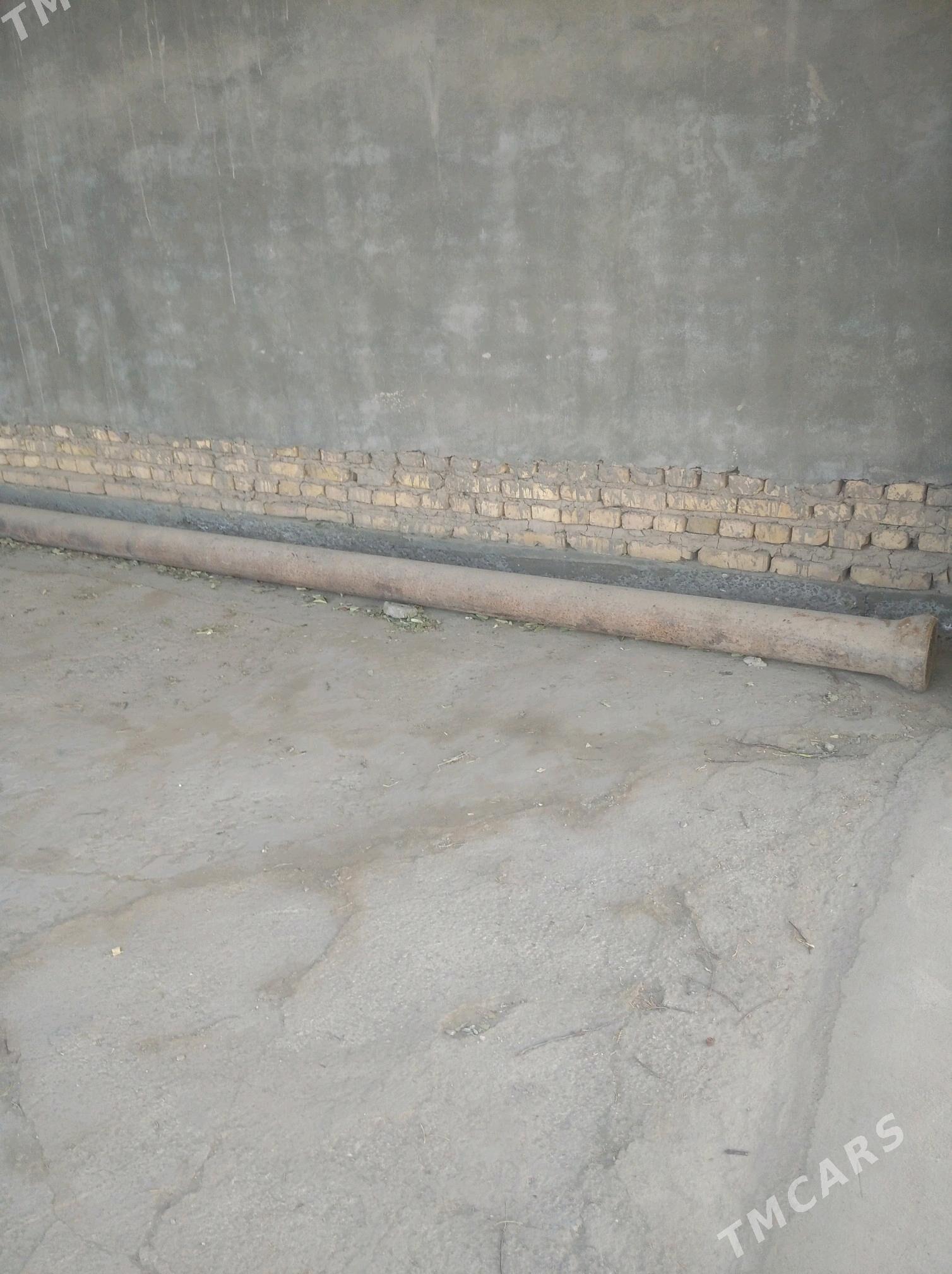 coyin turba - Дашогуз - img 2