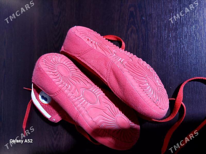 barsowka - Ашхабад - img 3