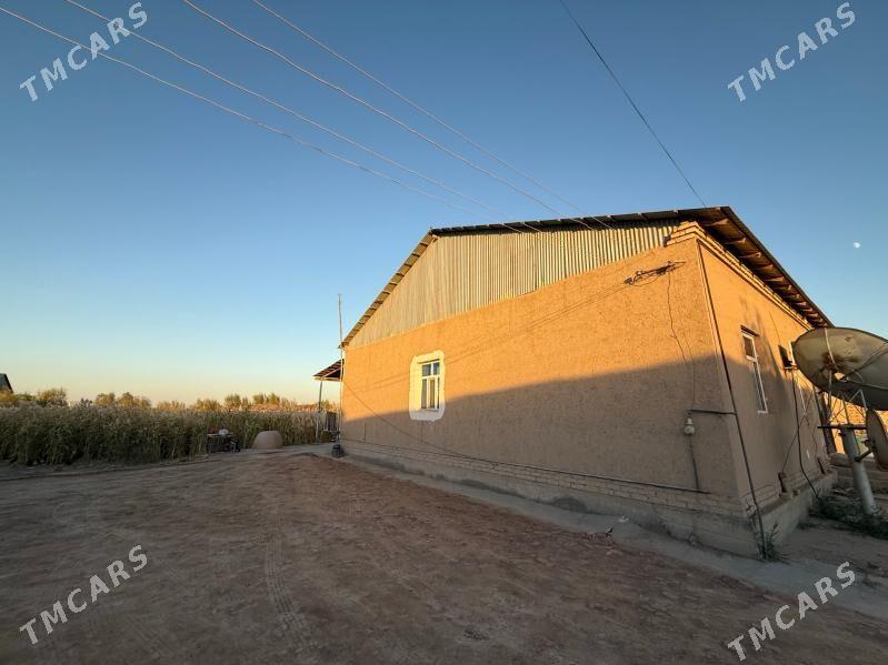 План жай - Кёнеургенч - img 8