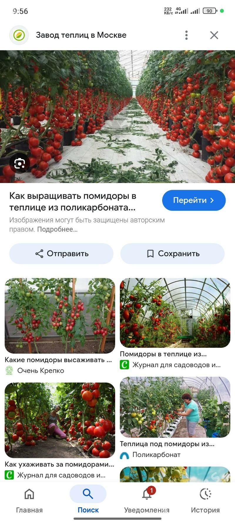 parnik yer mellek - Саят - img 4