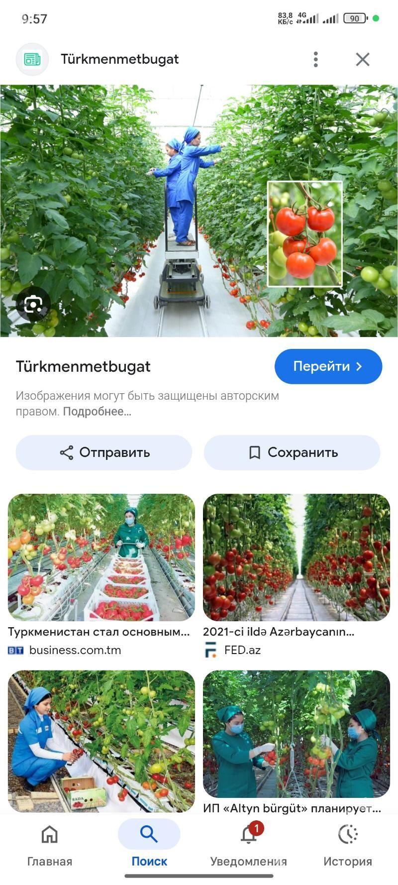 parnik yer mellek - Саят - img 2