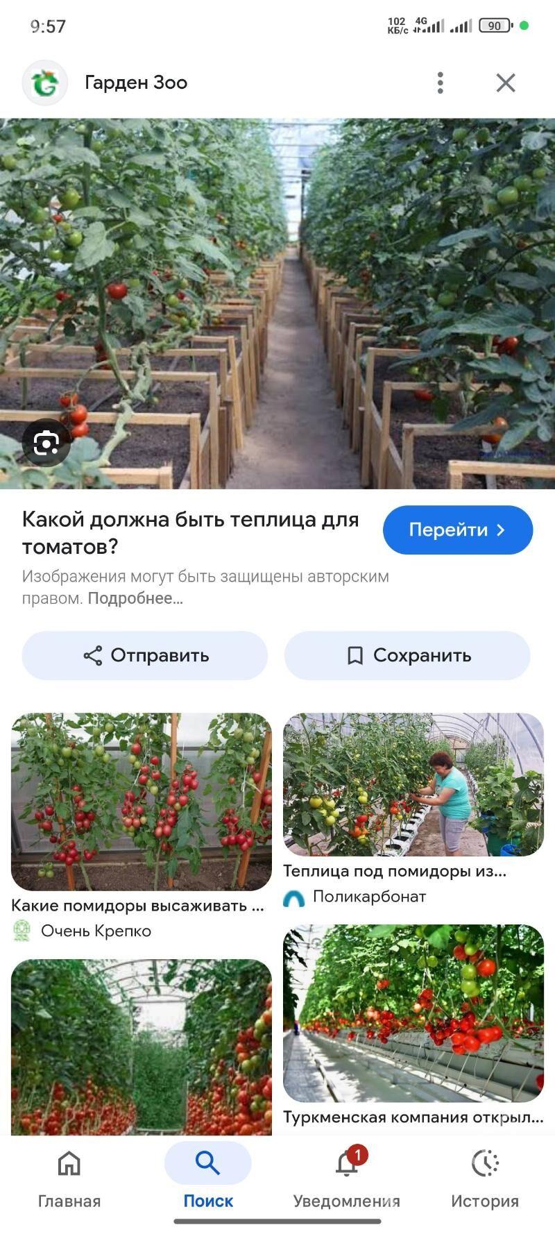 parnik yer mellek - Саят - img 3