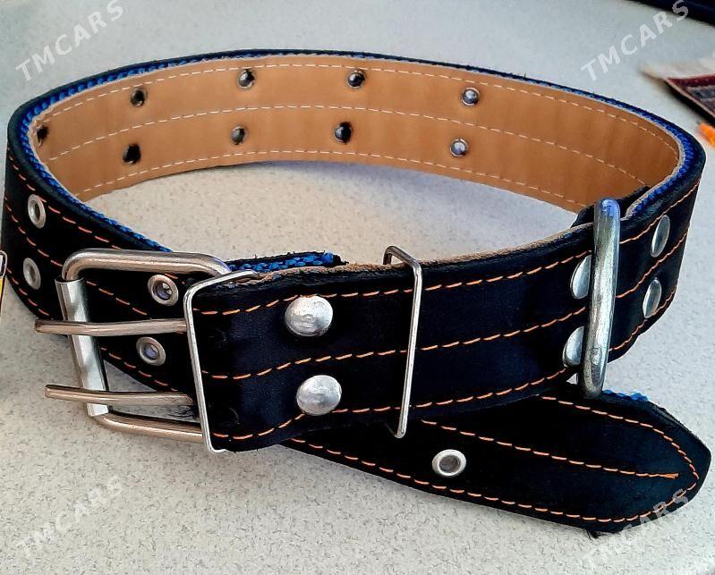 ОШЕЙНИК НОВЫЙ - Aşgabat - img 1