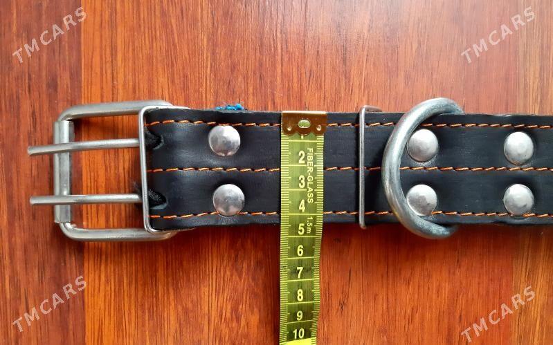 ОШЕЙНИК НОВЫЙ - Aşgabat - img 2