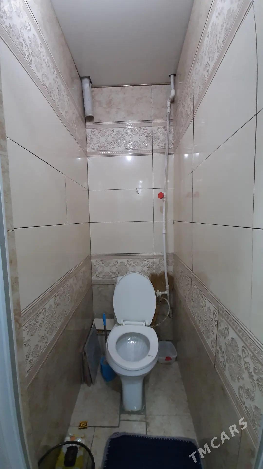 БИЗМЕИН ТОМАТНЫЙ - Büzmeýin - img 9