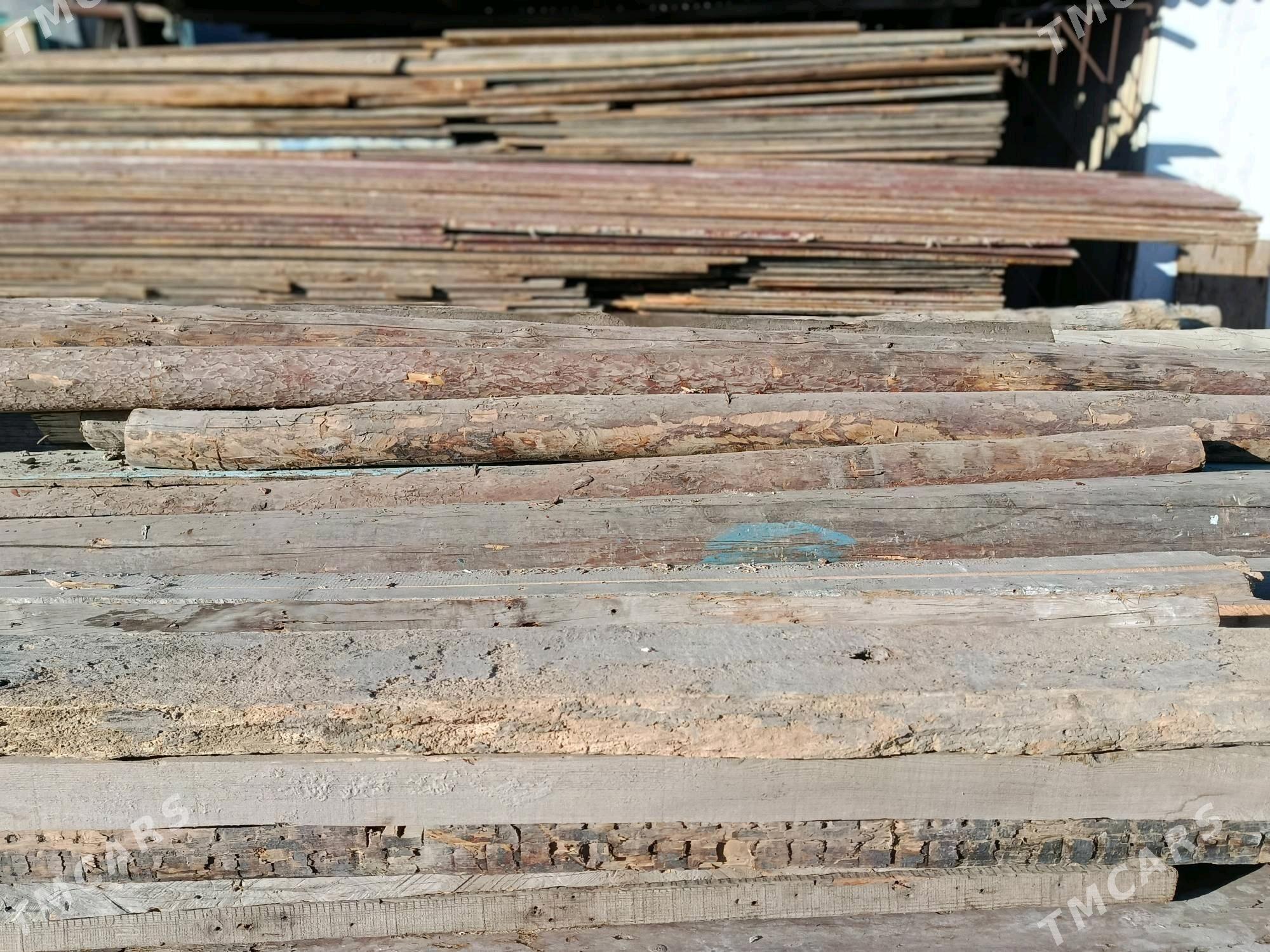 Agaç - Gumdag - img 3