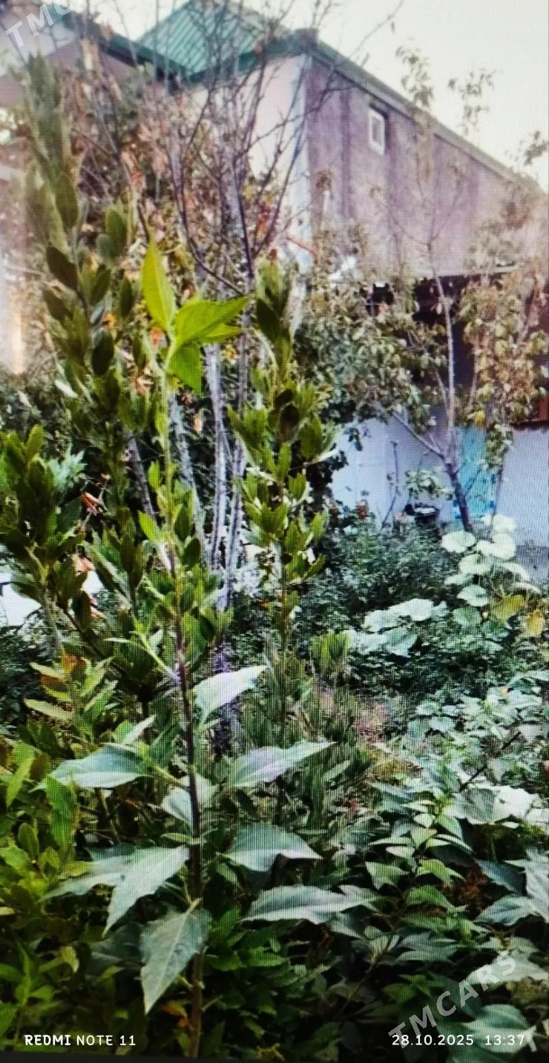 SATLYK JAŶ ÄNEW PLAN - Анев - img 7