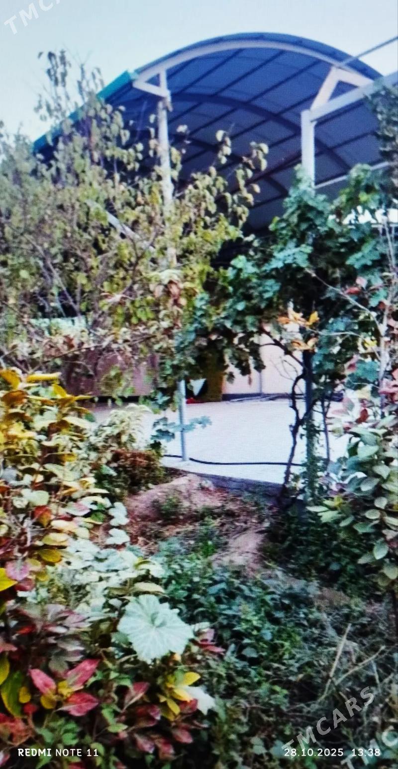 SATLYK JAŶ ÄNEW PLAN - Анев - img 6