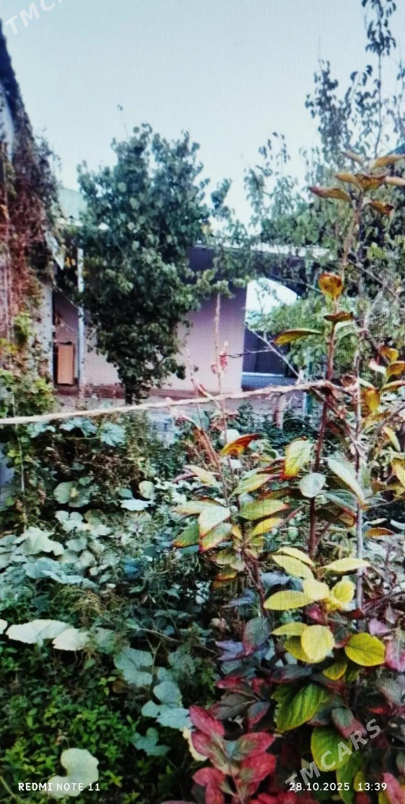 SATLYK JAŶ ÄNEW PLAN - Анев - img 2