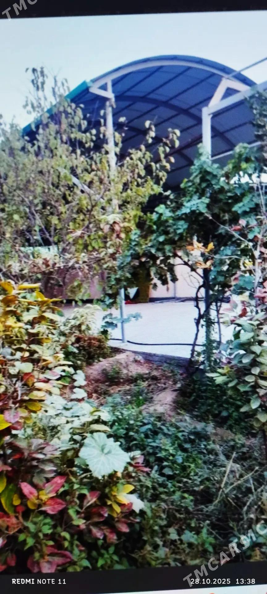 SATLYK JAŶ ÄNEW PLAN - Анев - img 3