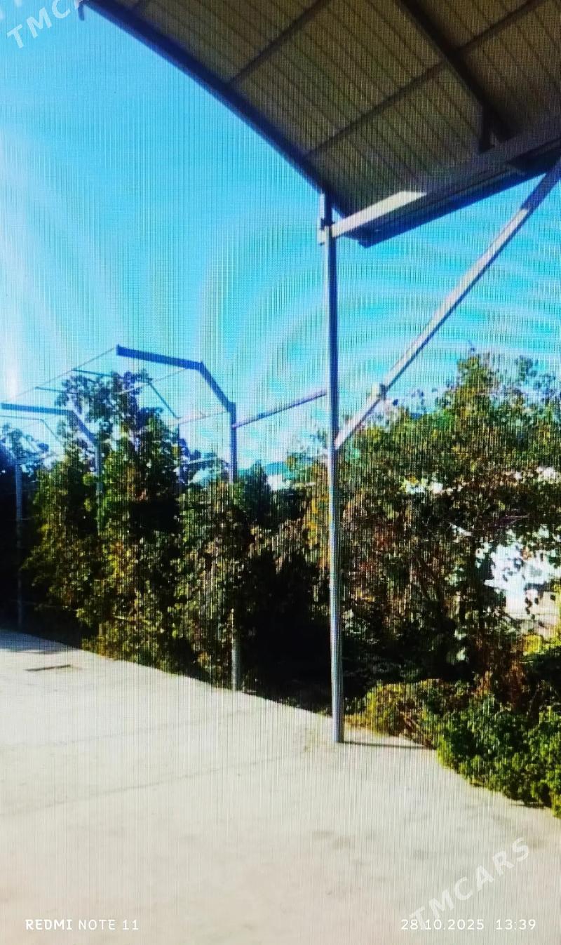 SATLYK JAŶ ÄNEW PLAN - Анев - img 5