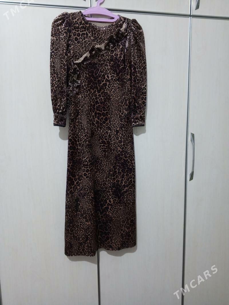 Jempr kurtka halat arzan bahad - Balkanabat - img 5