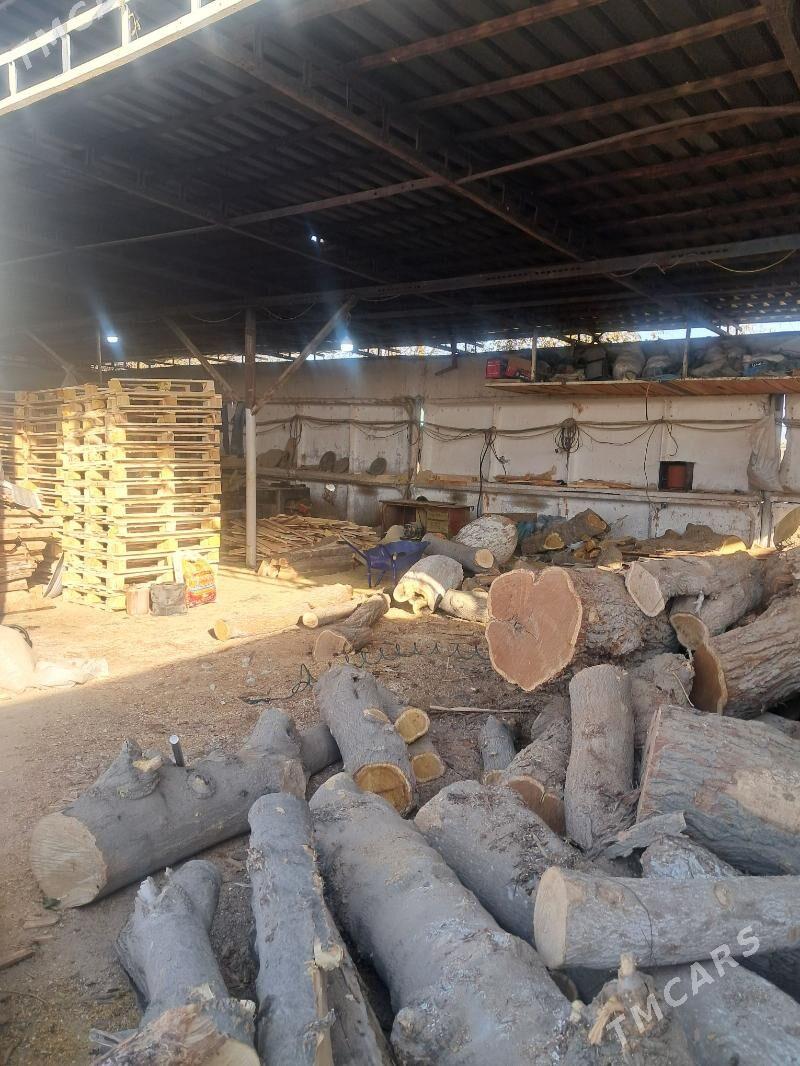 padon - Aşgabat - img 1