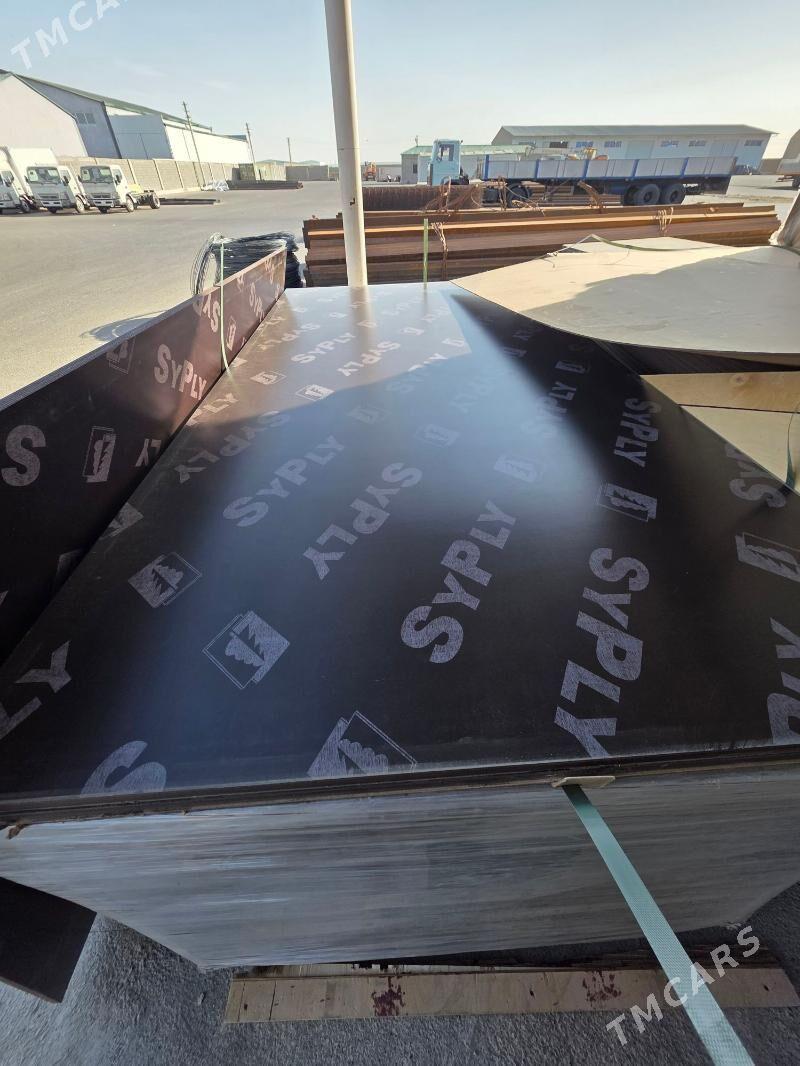 pilumut hytay ruski - Ашхабад - img 2