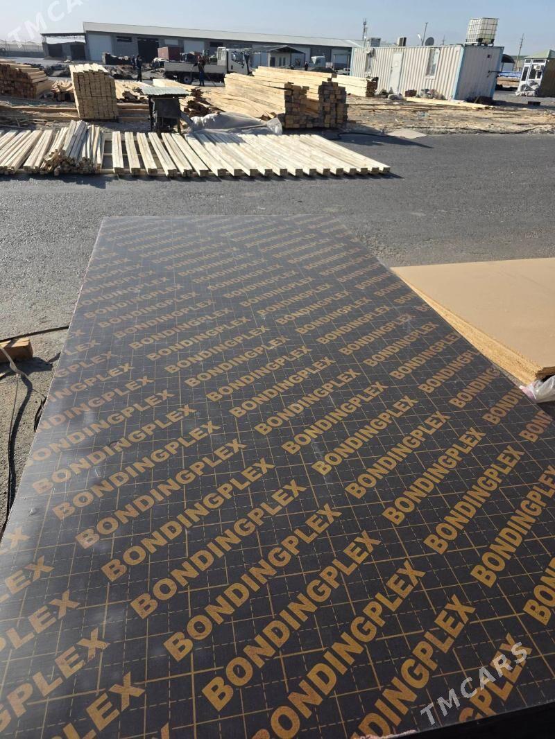 pilumut hytay ruski - Ашхабад - img 3