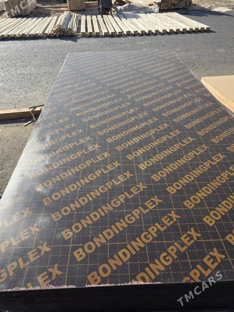 pilumut hytay ruski - Ашхабад - img 5