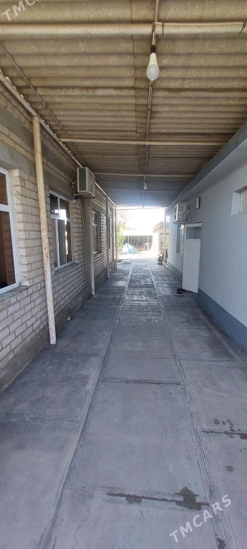 Satlyk buzmeyin 40yyllyk plan - Büzmeýin - img 9