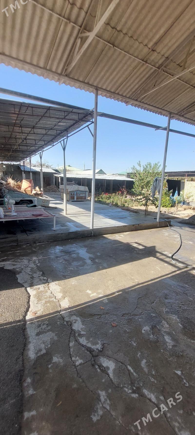 Satlyk buzmeyin 40yyllyk plan - Büzmeýin - img 2