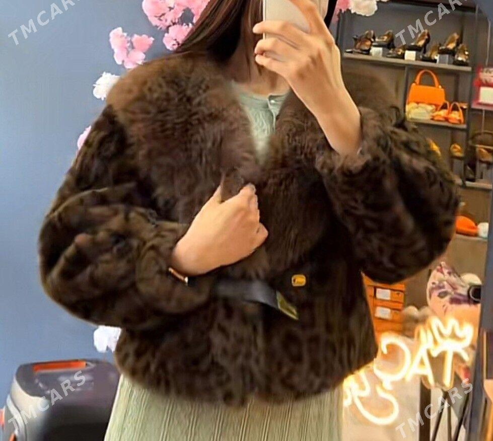 Shuba - Ашхабад - img 2