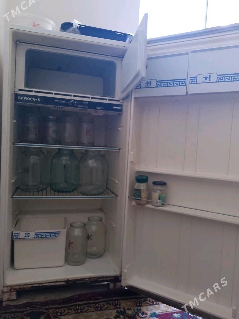 holodinlik - Änew - img 1