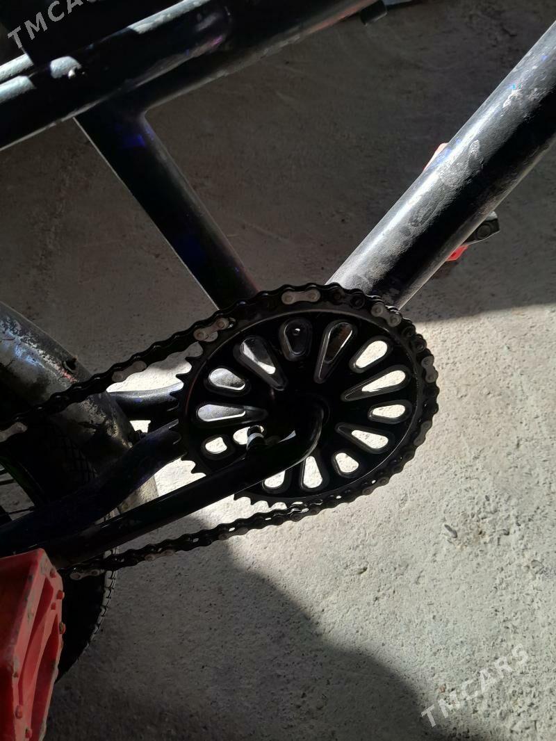 KAMA TIGIRKAMA TIGIR - Кака - img 5