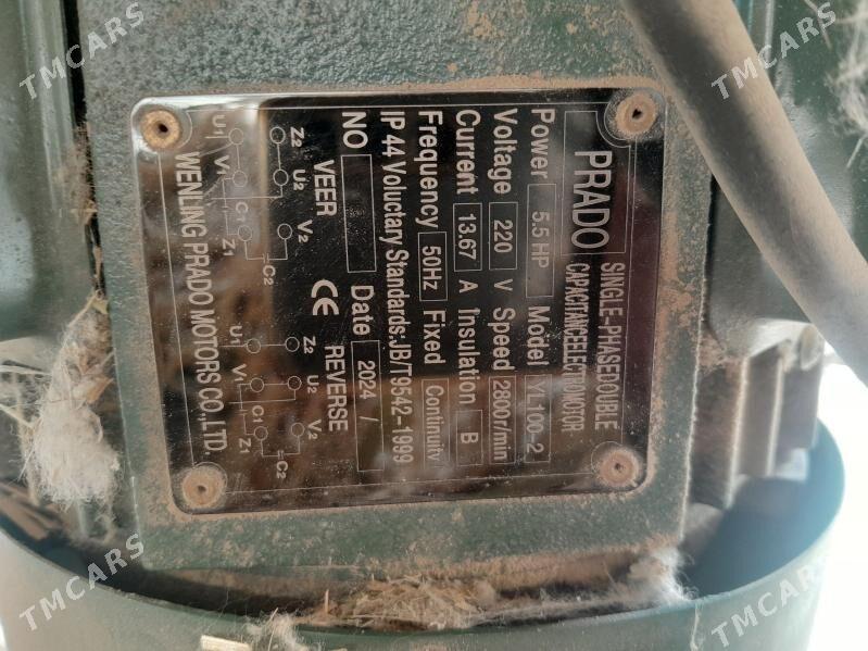 ot uweyen - Dänew - img 4