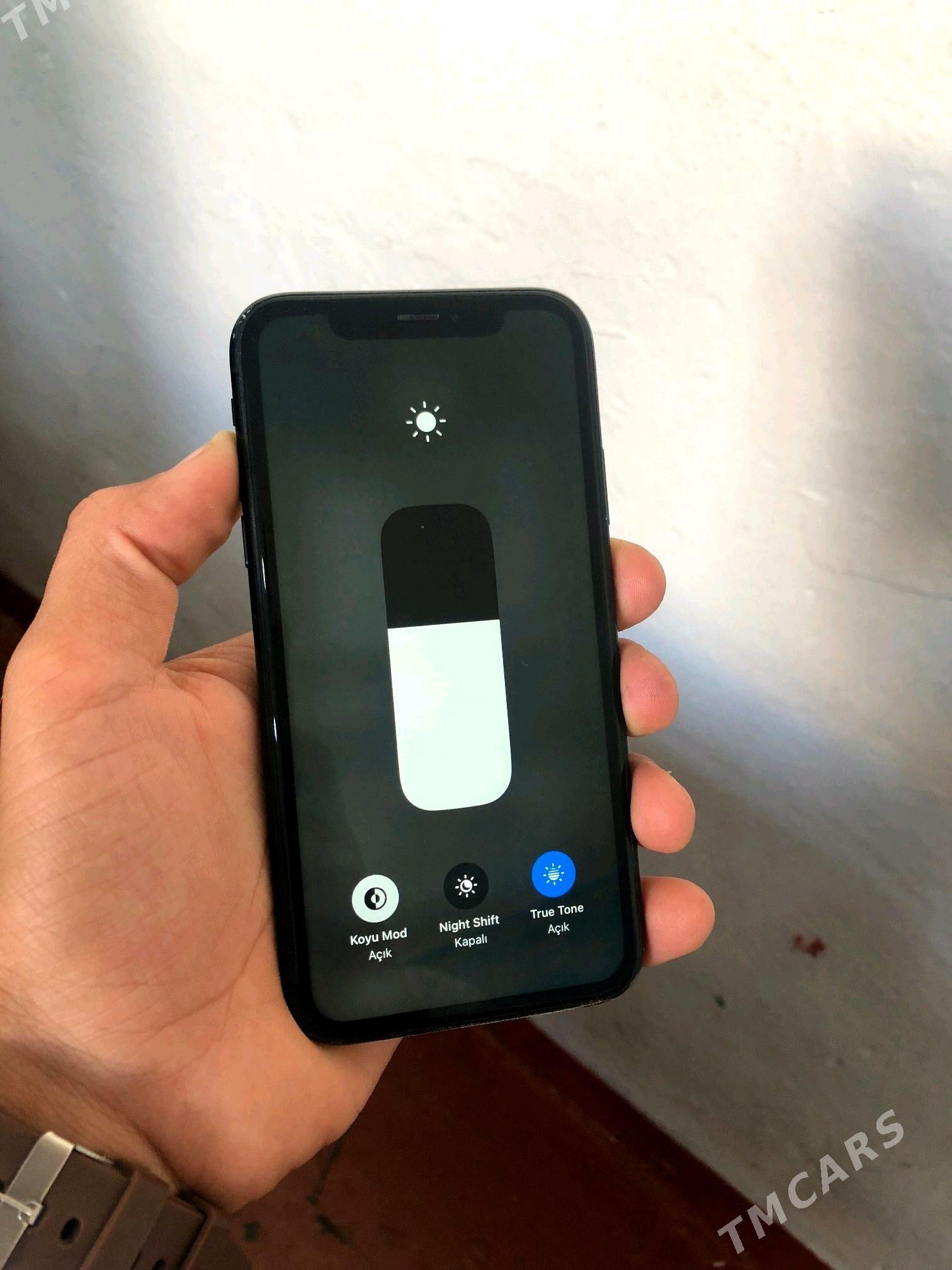 xr - Мары - img 5