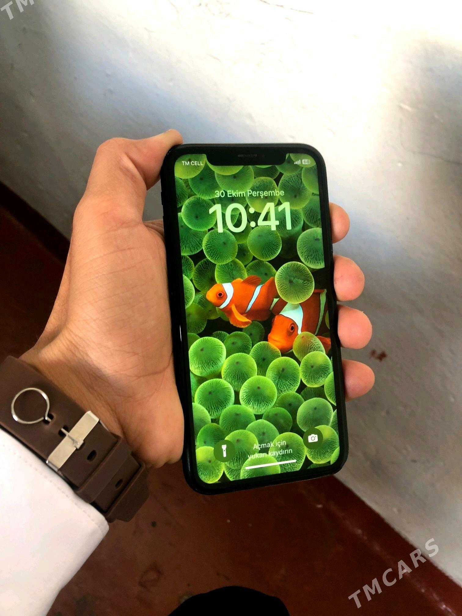 xr - Мары - img 4