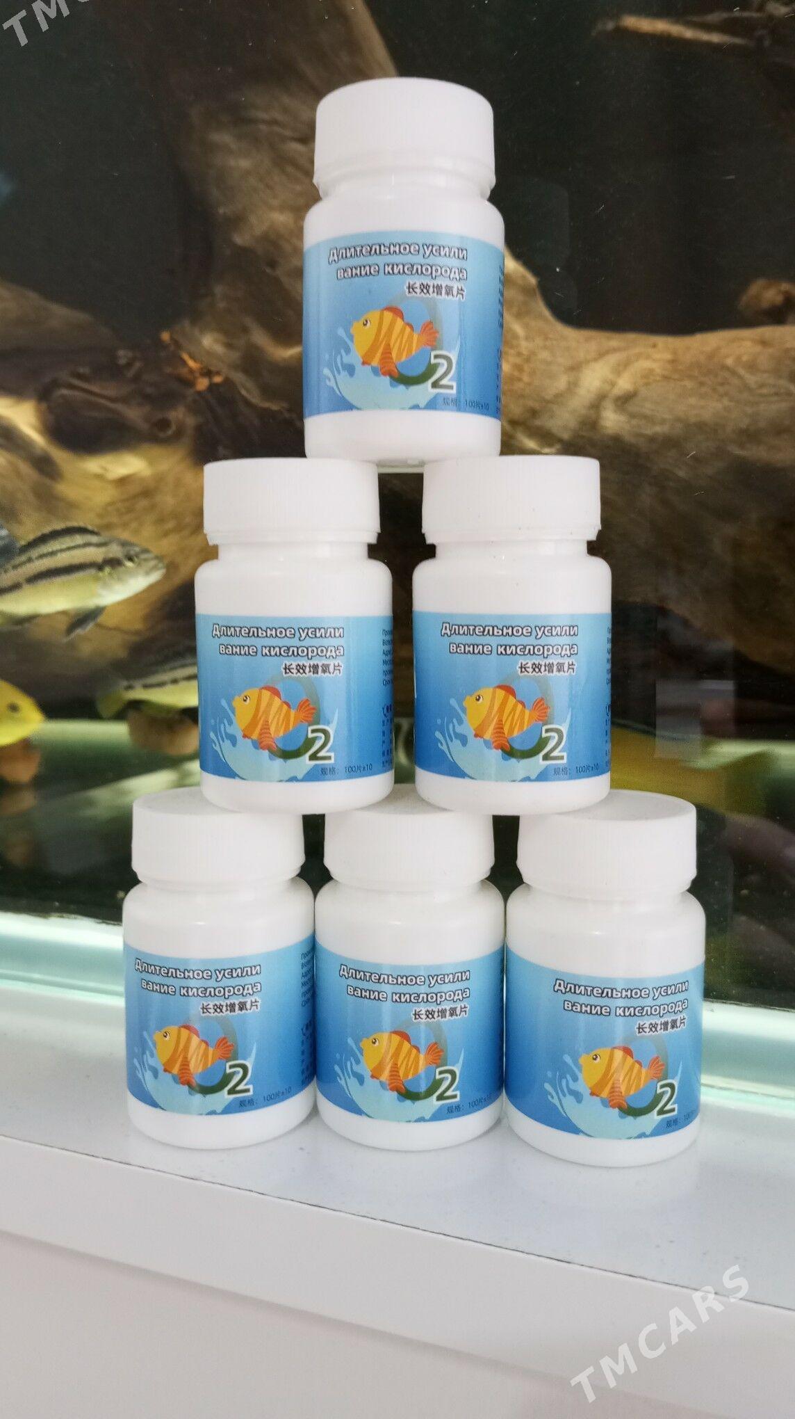 Кислород - Туркменбаши - img 1