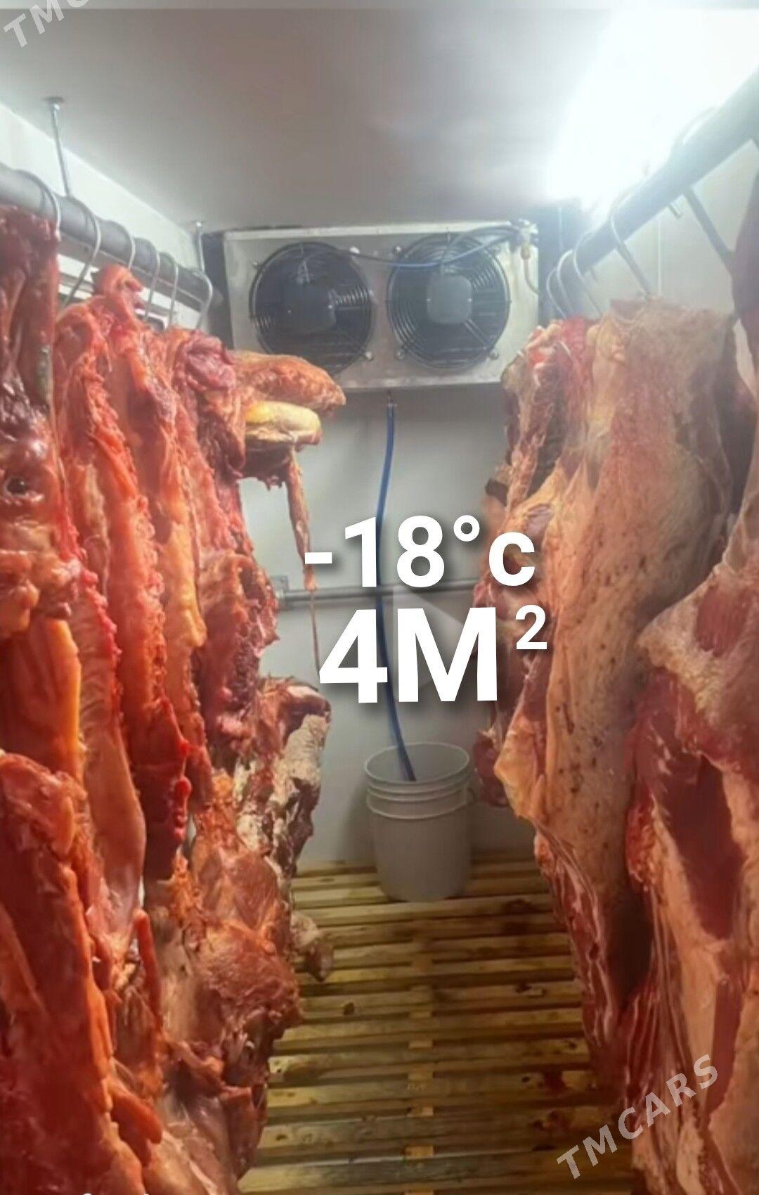 HOLODILNIK TONNALYK - Daşoguz - img 7