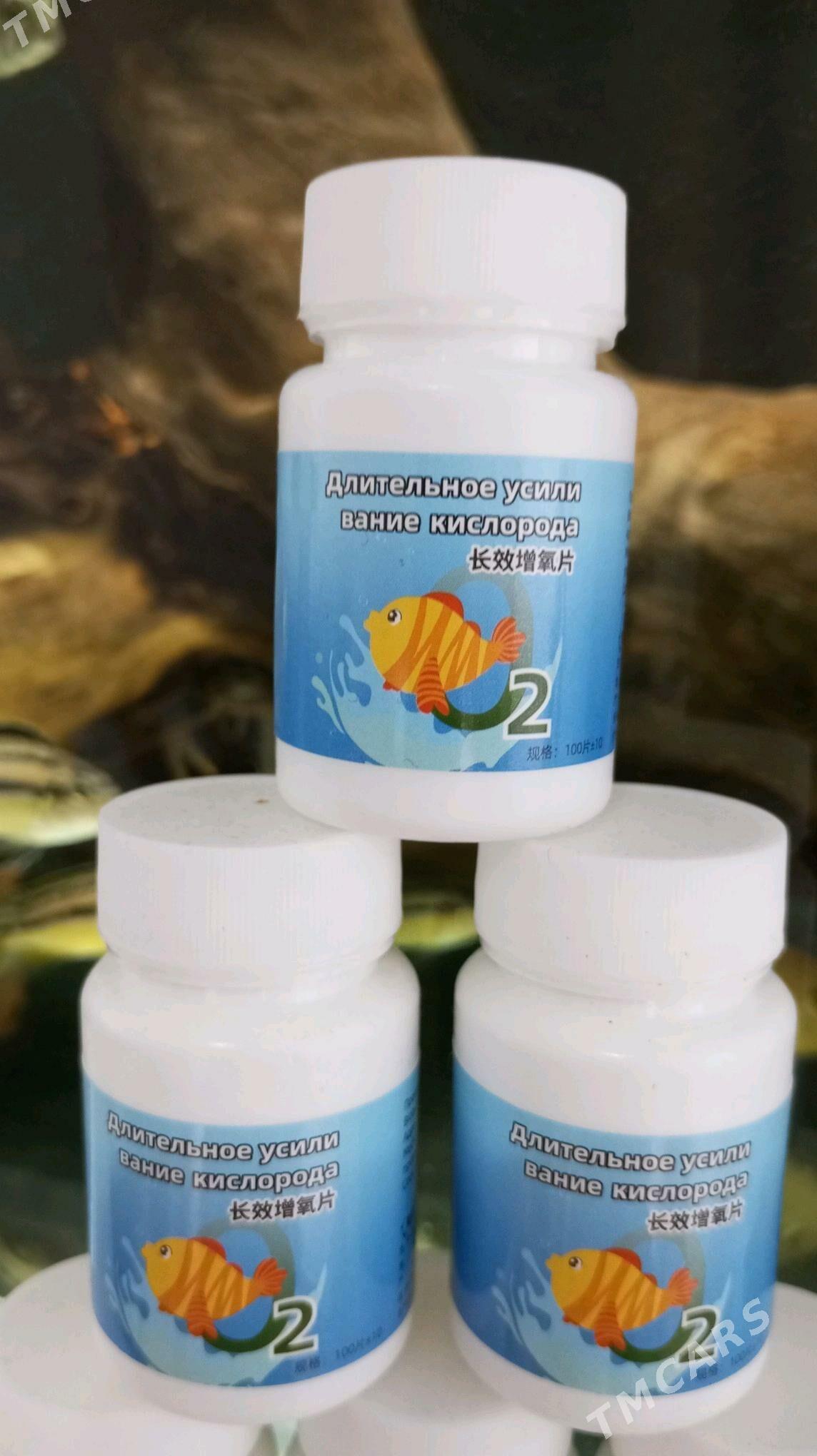 Кислород - Туркменбаши - img 2