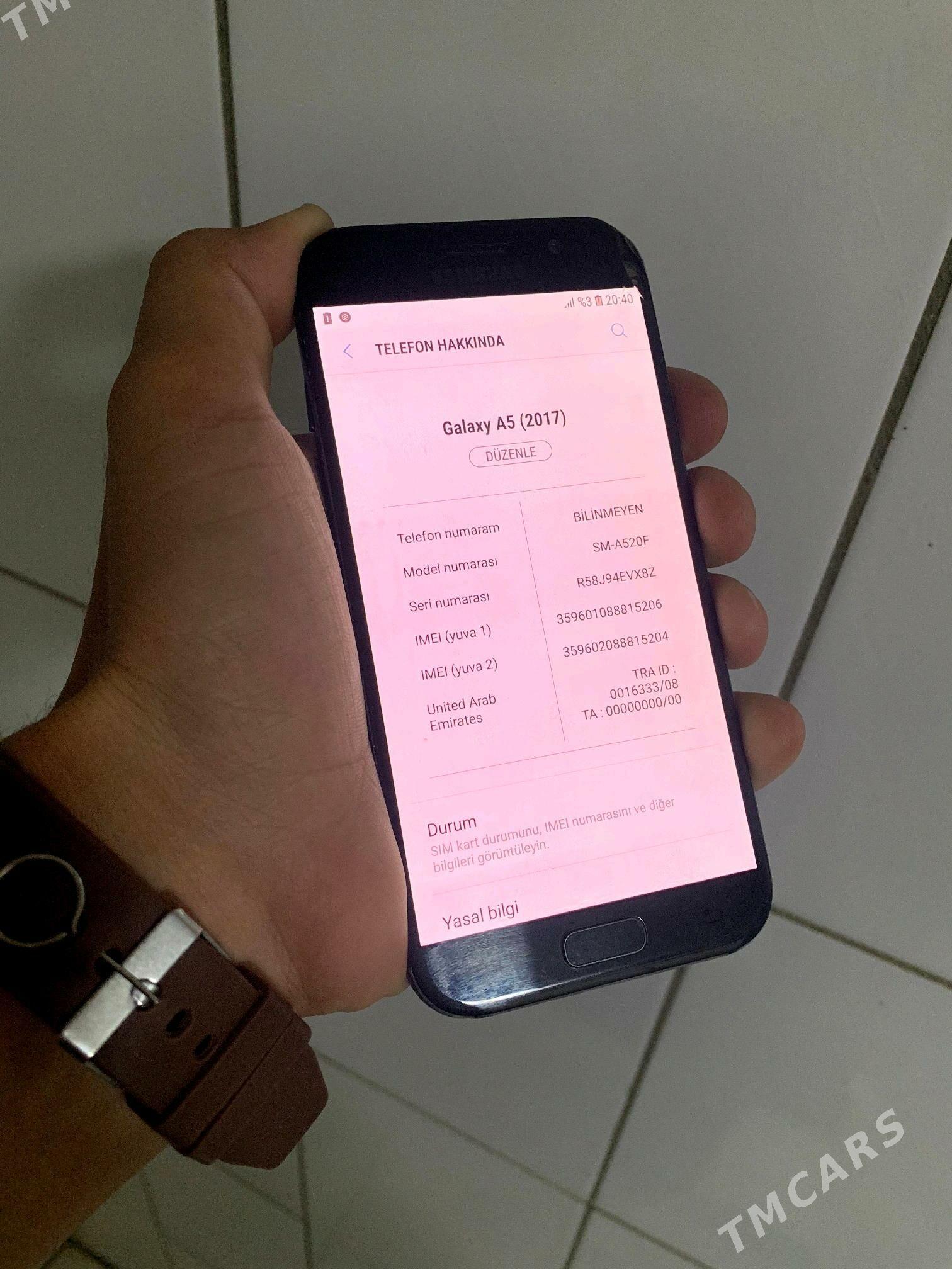 a5 17 - Mary - img 3