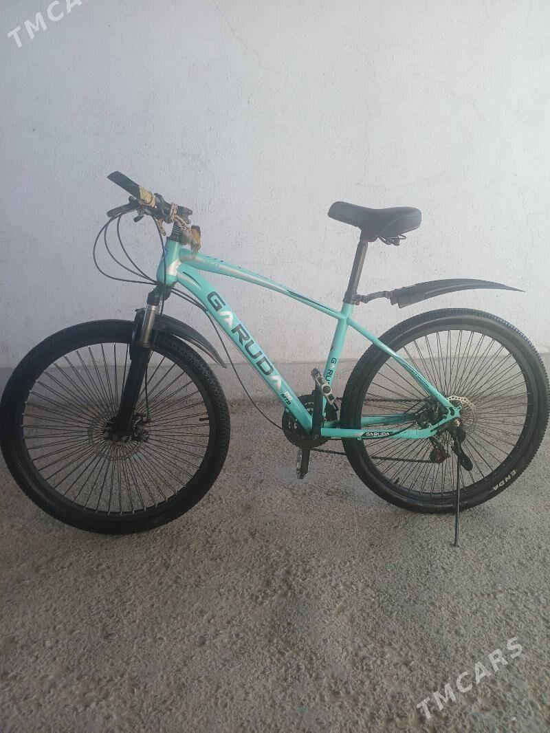 tigir - Çoganly - img 1