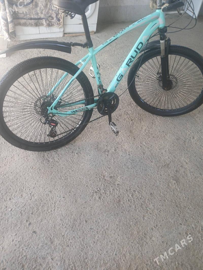 tigir - Çoganly - img 2