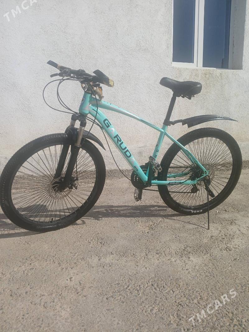 tigir - Çoganly - img 4