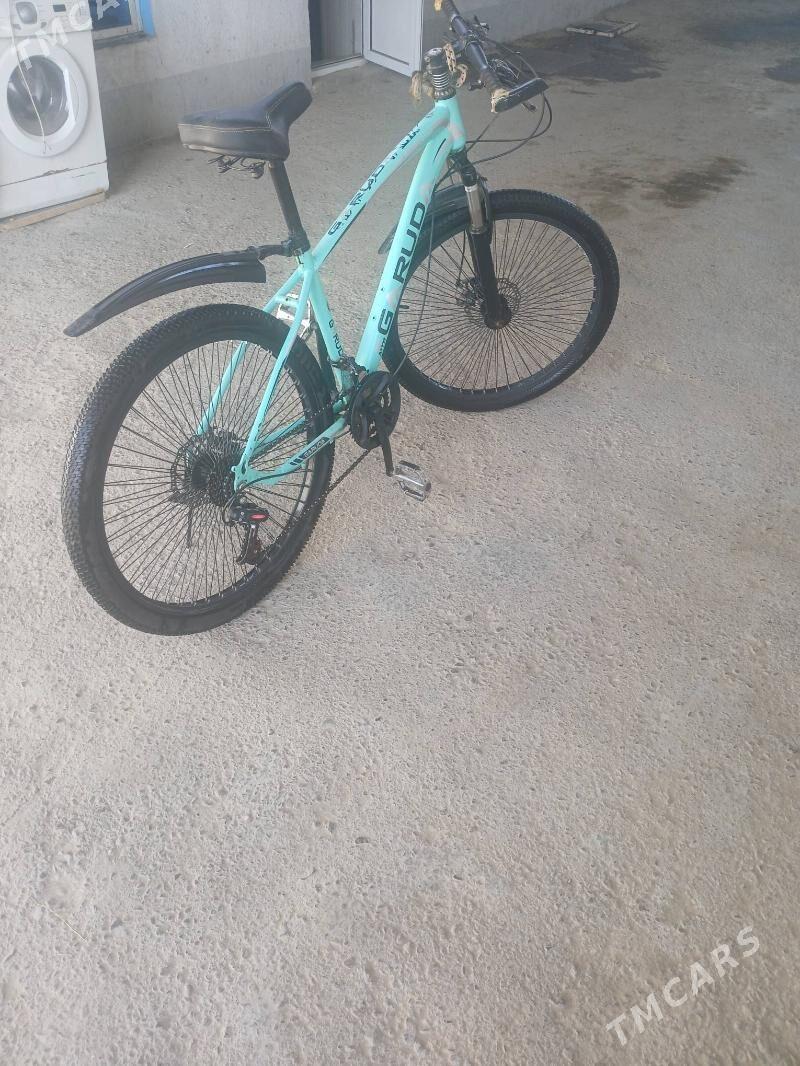 tigir - Çoganly - img 3