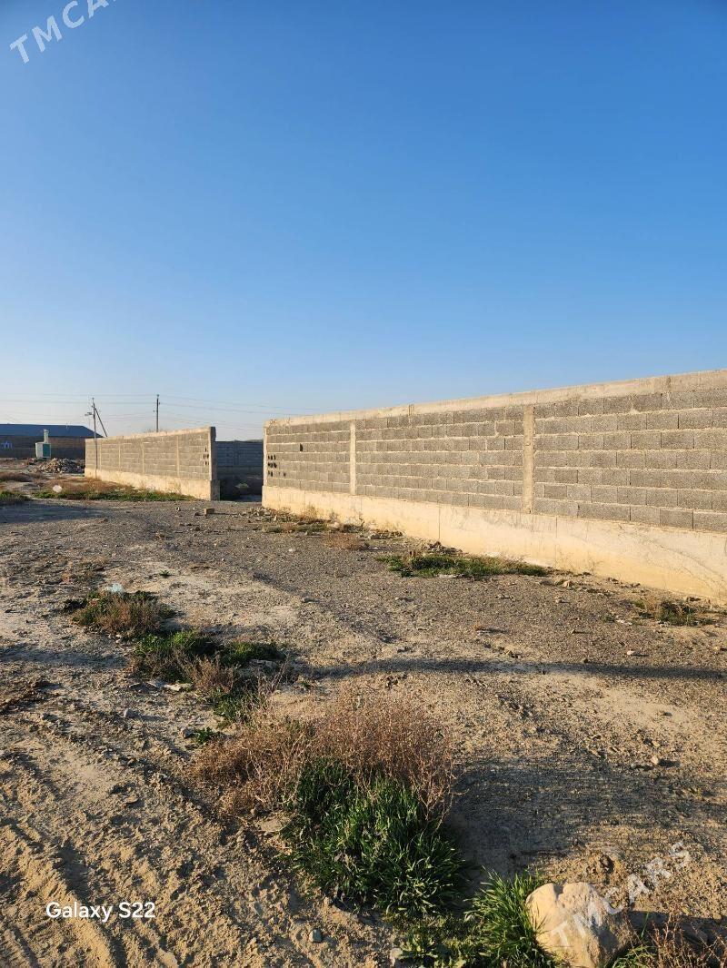 satlyk jay yer - Bäherden - img 1