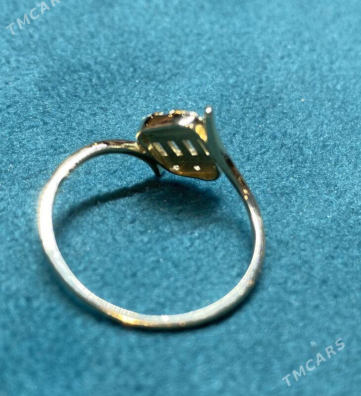 Украшение - Büzmeýin GRES - img 6