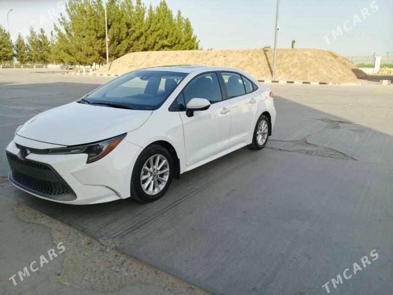 Toyota Corolla 2022 - 285 000 TMT - Ёлётен - img 4
