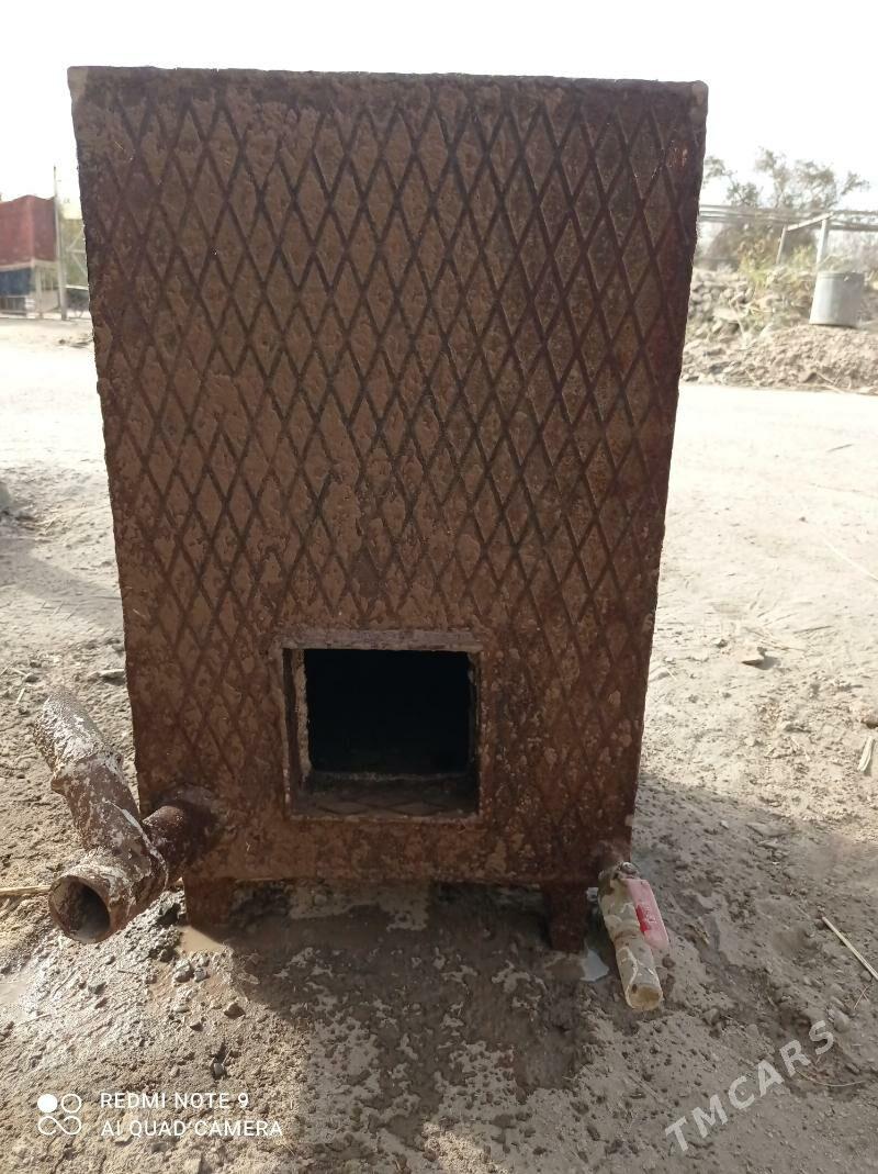 миша - Daşoguz - img 3