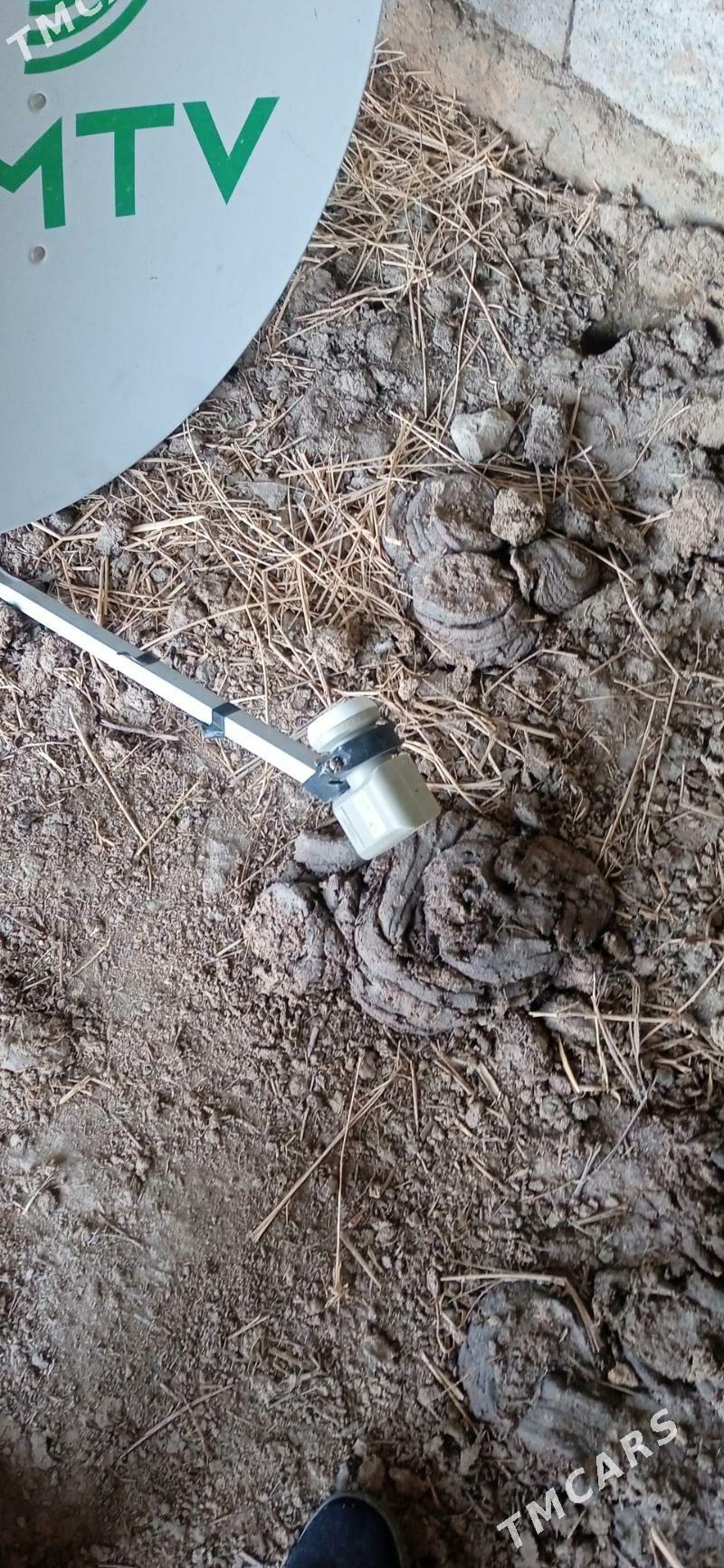 anten - Бахарден - img 2