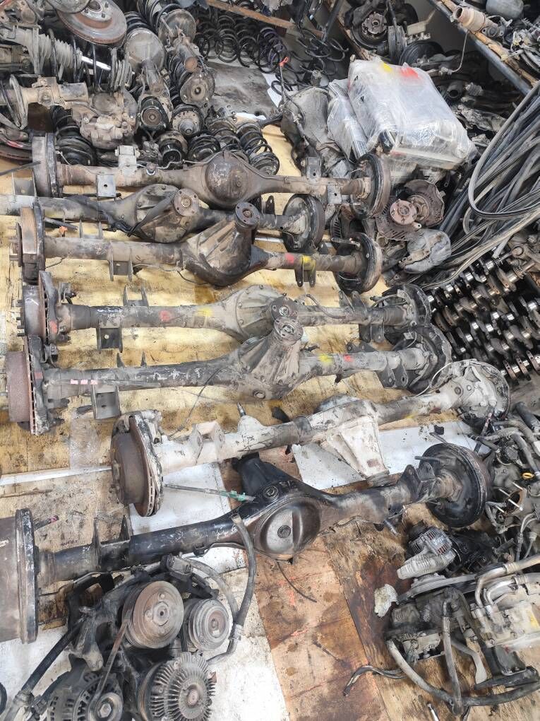 Previa mordo mator karopko 100 TMT - Mary - img 5