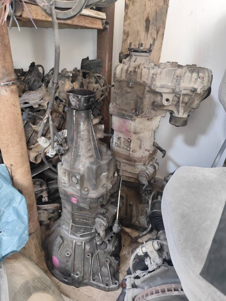 Previa mordo mator karopko 100 TMT - Mary - img 2