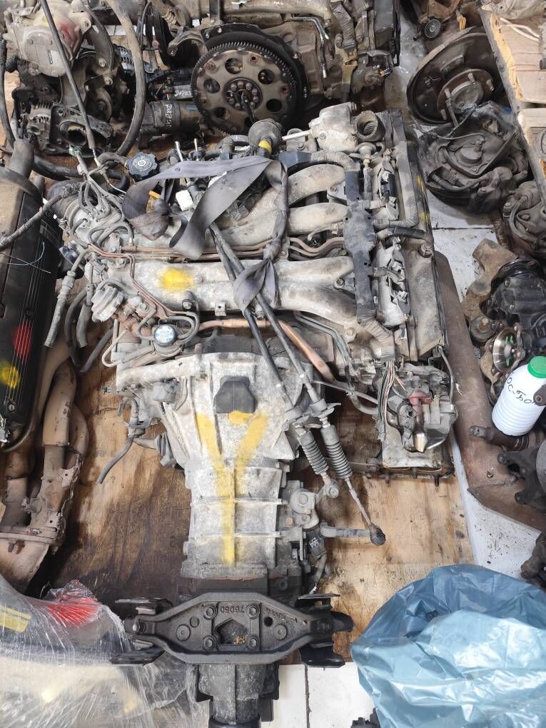 Previa mordo mator karopko 100 TMT - Mary - img 7