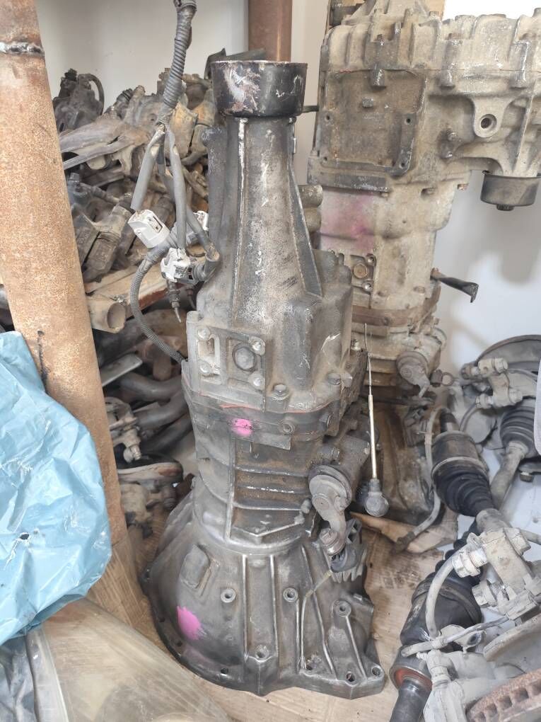 Previa mordo mator karopko 100 TMT - Mary - img 3